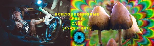 МДПВ Волоколамск