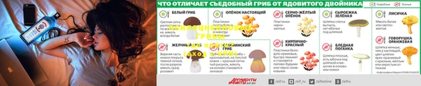 прущая мука Нефтегорск
