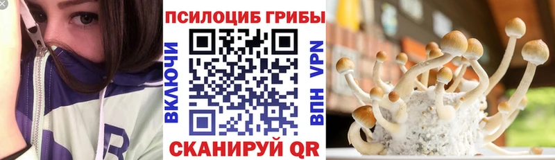 darknet клад  omg как войти  Псилоцибиновые грибы прущие грибы  Краснознаменск  продажа наркотиков 