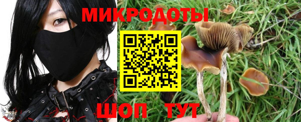 Галлюциногенные грибы MAGIC MUSHROOMS  Вход с VPN  Краснознаменск  Галлюциногенные грибы Psilocybine cubensis 